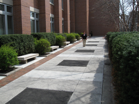 Library Sidewalk Poem Project